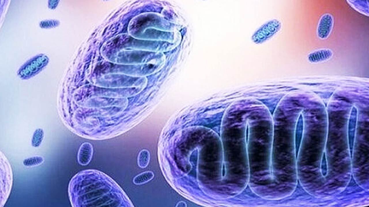 تشریح موارد ابتلا به قارچ سیاه؛ چه کسانی امکان ابتلای بیشتری دارند؟
