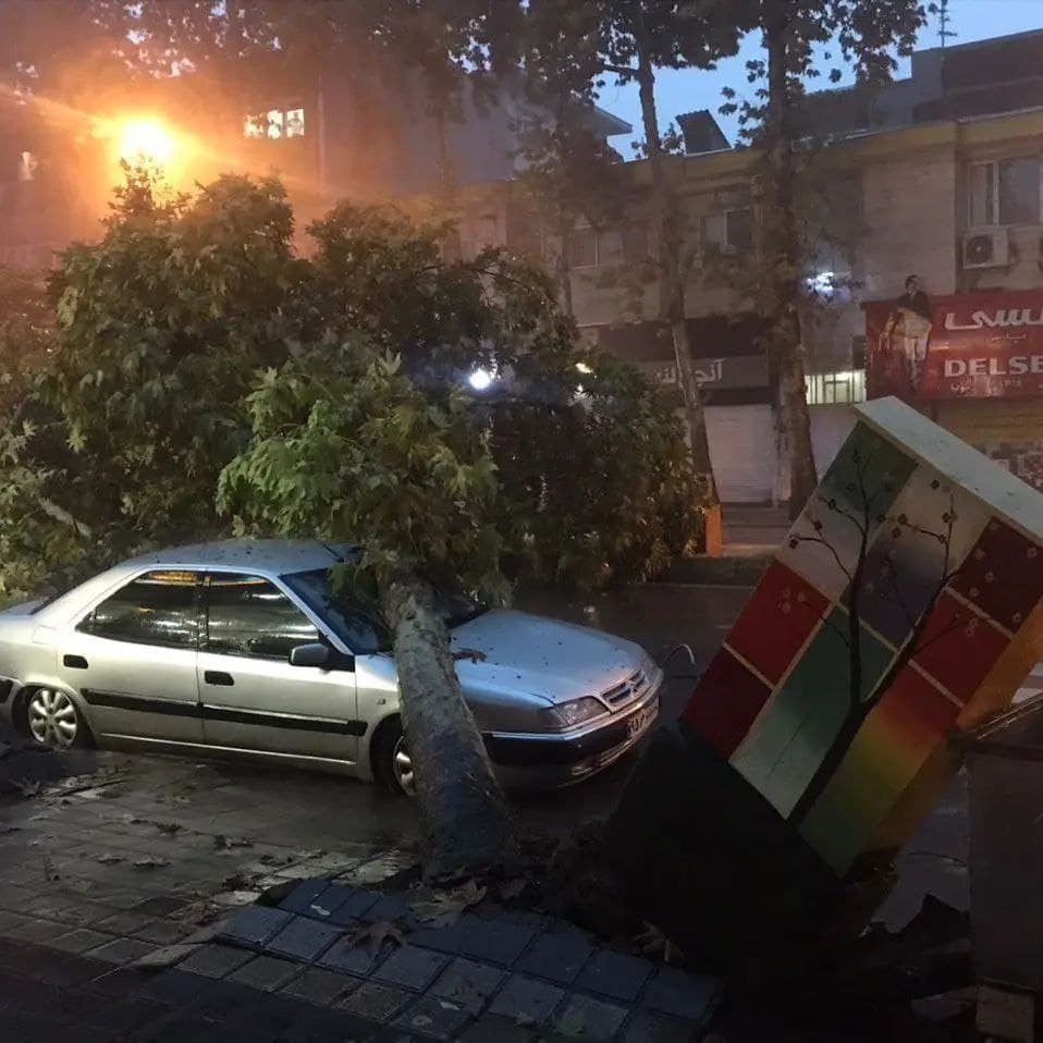 سقوط درخت در رشت بر روی یک خودرو