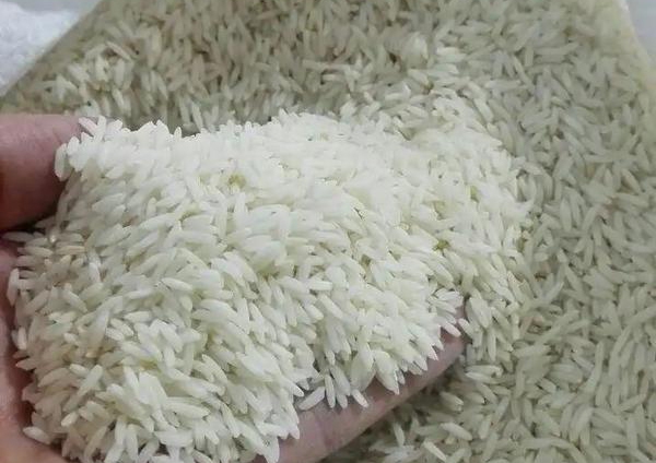 کشف ۲۷ تن برنج غیر بهداشتی در زاهدان