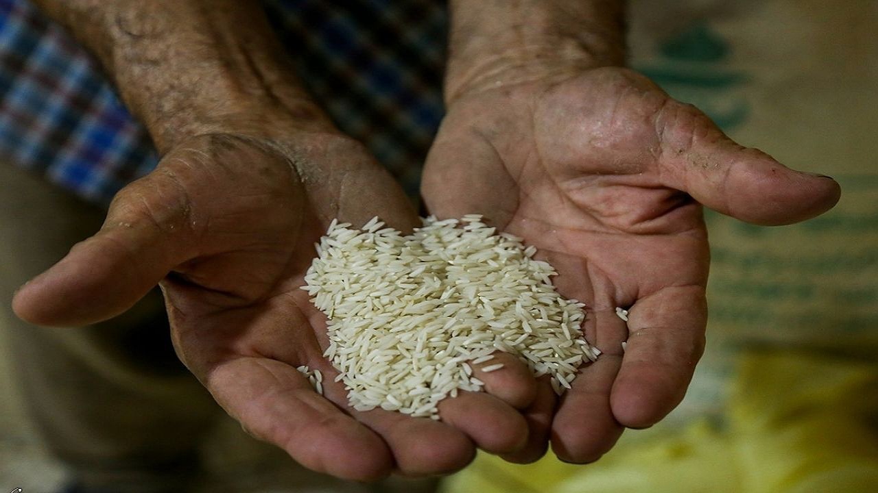 برنج هایی که به جای سفره مردم در انبارها ذخیره شده اند/افزایش ۴۴ درصدی قیمت برنج در اصفهان