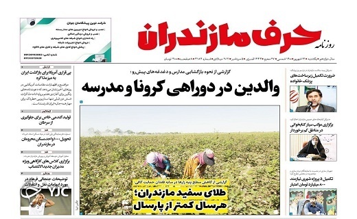 والدین در دوراهی کرونا و مدرسه / طلای سفید مازندران؛ هر سال کمتر از پارسال