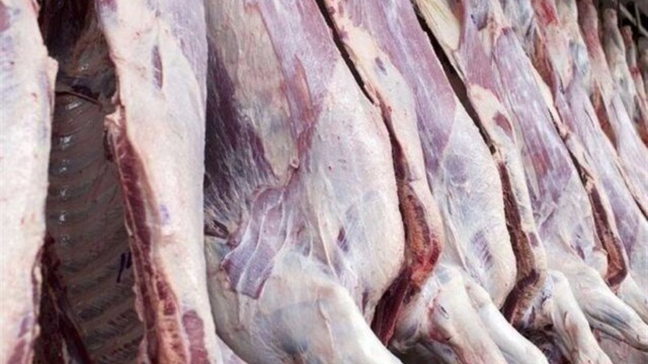 معدوم شدن ۷۵ تن گوشت غیرقابل مصرف در خراسان رضوی