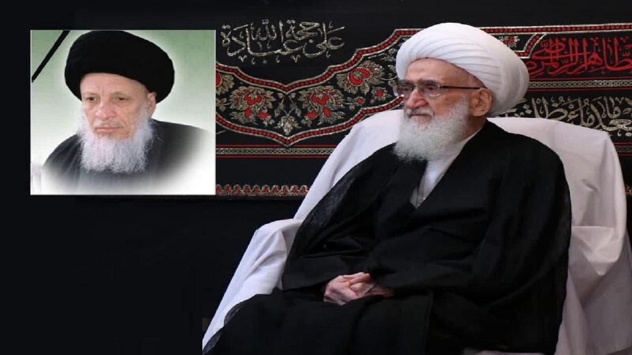 آیت الله نوری همدانی ارتحال آیت‌الله حکیم را تسلیت گفت