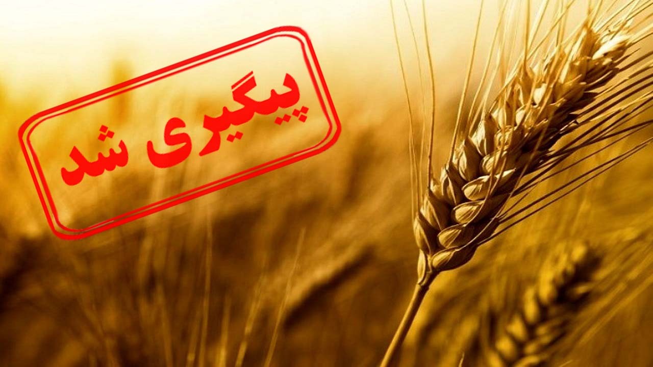 پاسخ نایب رئیس بنیاد ملی گندمکاران در مورد گرانی آرد