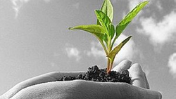 عوارض کرونا در دیابتی‌ها بیشتر از دیگران است + فیلم