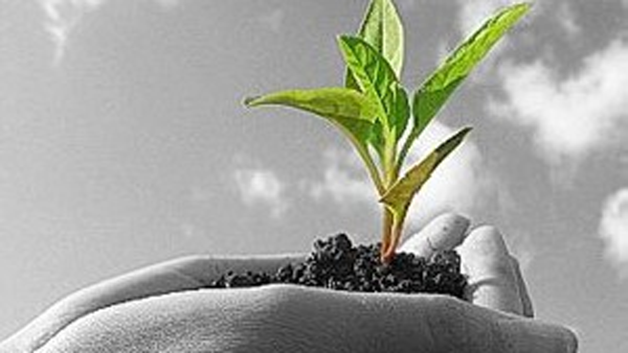 ۴ تکنیک افزایش امید + فیلم