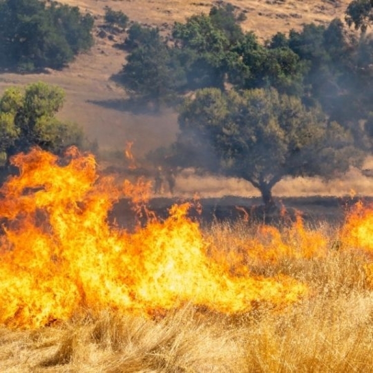 تصویر آتش سوزی