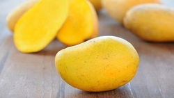 خواص فوق العاده خرمالو برای بدن + فیلم