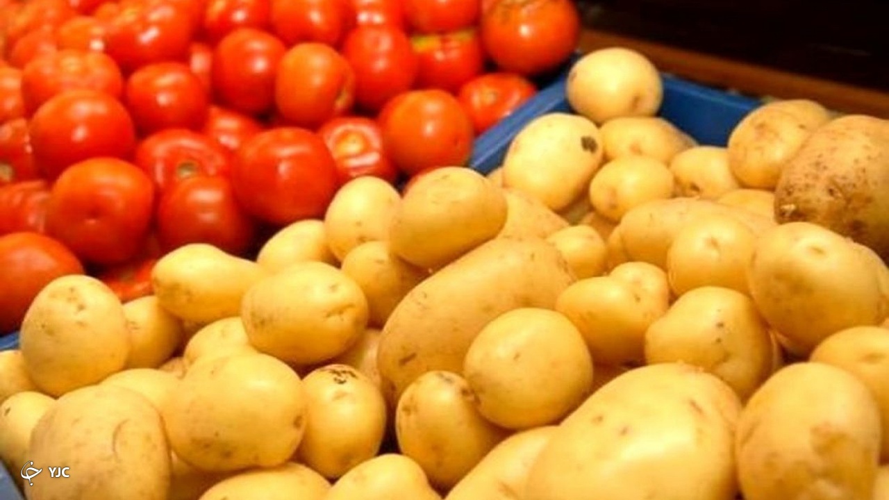 کمبود آب کشت سیب زمینی و گوجه فرنگی را در آذربایجان غربی کاهش داد
