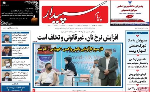 سپیدار