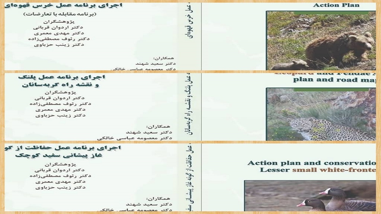 برنامه عمل حفاظت از سه گونه شاخص حیات وحش استان اردبیل تدوین شد