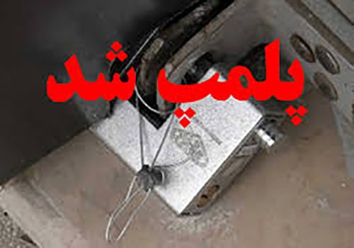 پلمپ و جریمه ۲۵ واحد صنفی متخلف در سیریک