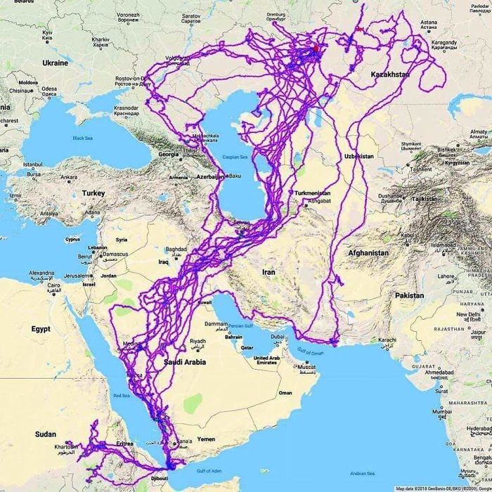  اینفوگرافی&zwnj;