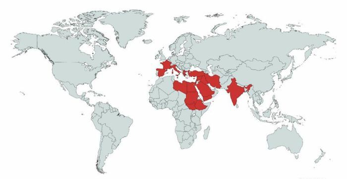 اینفوگرافی&zwnj;