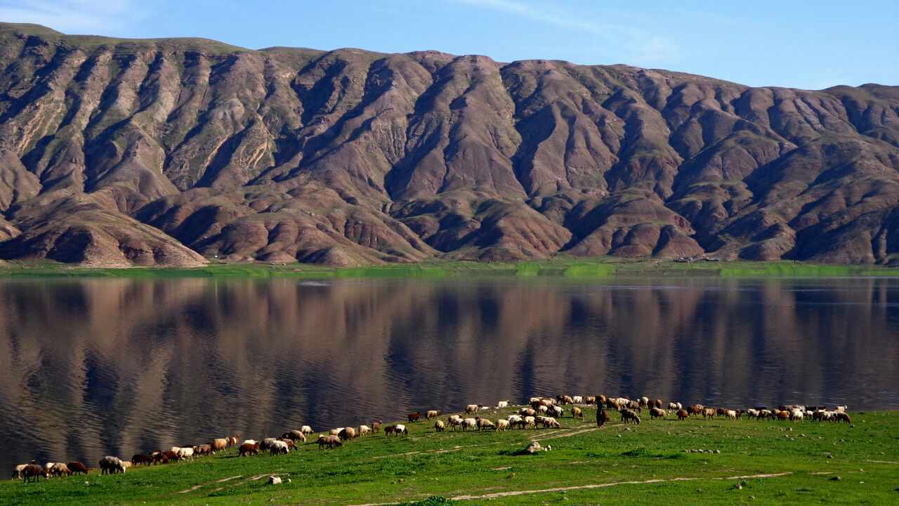 صدور مجوز برای دفاتر گردشگری سلامت در ایلام