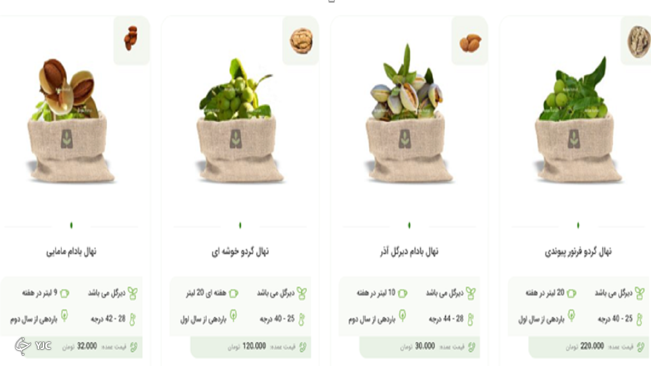آریا نهال از سایت جدیدش رو نمایی کرد