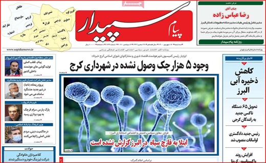 سپیدار