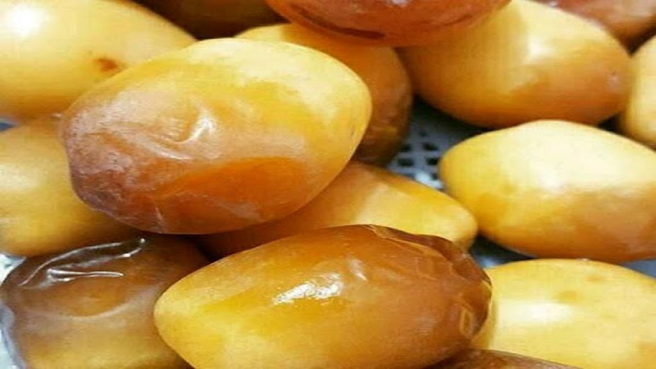 آغاز برداشت خرمای هلیله از نخلستان‌های قصرقند