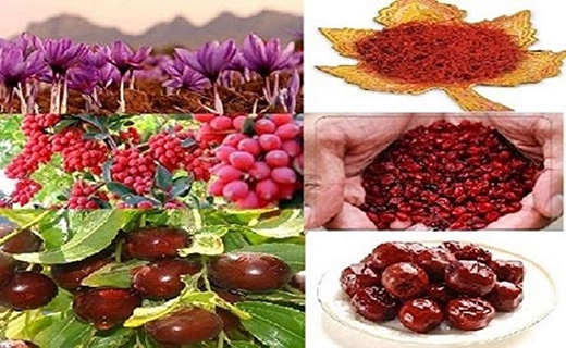 تزریق ارزش افزوده به محصولاتی در دل کویر