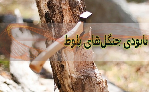زخم کاری تبرها بر پیکره جنگل&zwnj;های بلوط