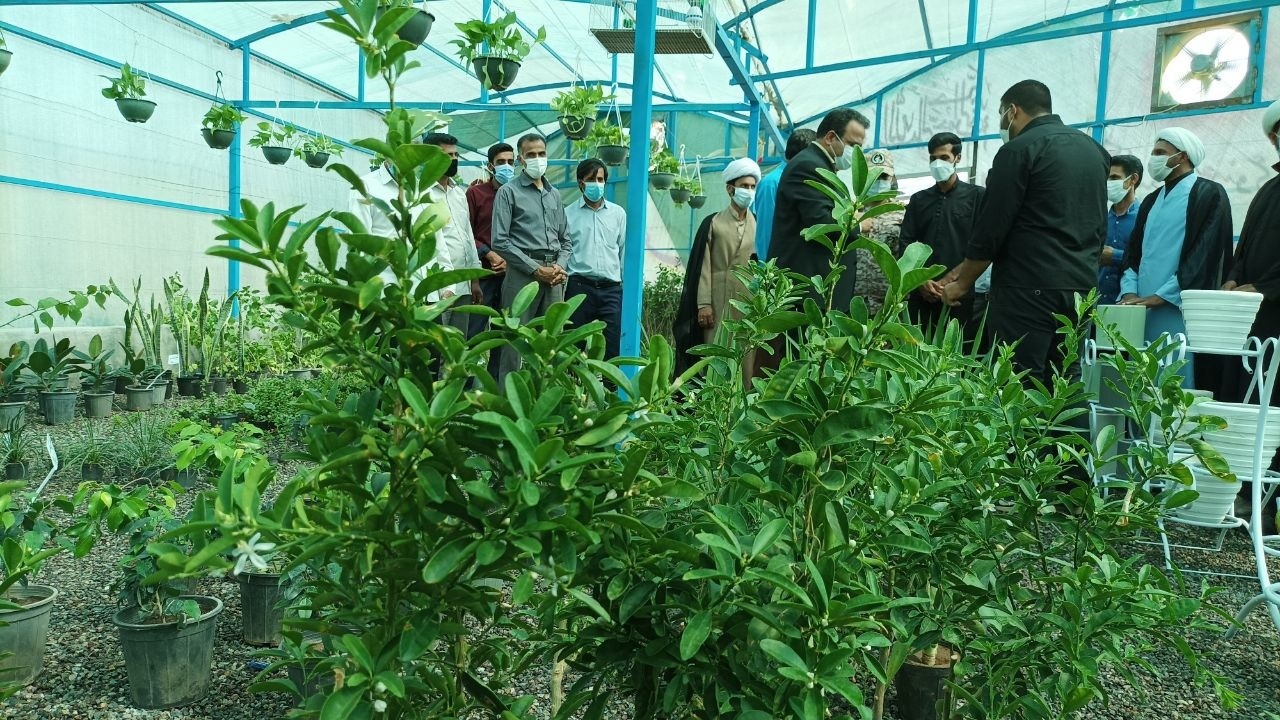 گلخانه ای برای مقابله با بیابان