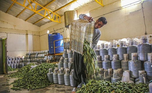 وقتی شوری، شیرینی اشتغال را به ارمغان می&zwnj;آورد