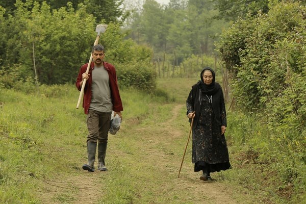 ارتباط میان &laquo;در کنار پروانه ها&raquo; و آیه&zwnj;های قرآن چیست؟ / قصه&zwnj;ای میان خواب و بیداری
