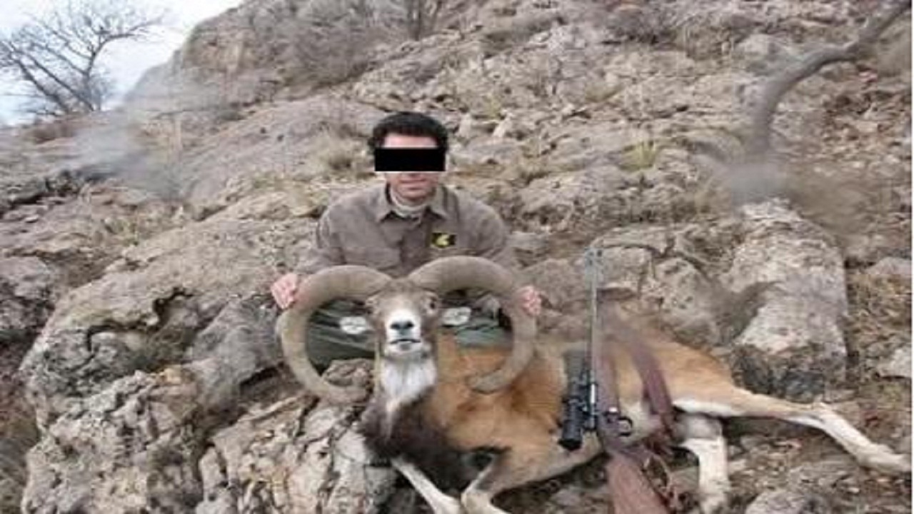 دستگیری شکارچیان قوچ وحشی