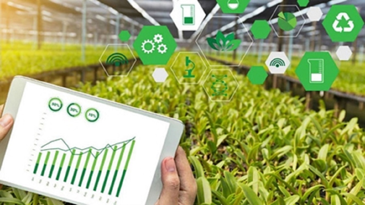 فعالیت ۲۶۹ شرکت دانش‌بنیان در زیست بوم فناوری و نوآوری
