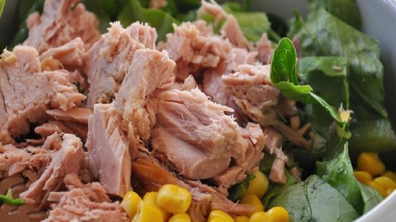 انواع کنسرو ماهی در بازار چند؟