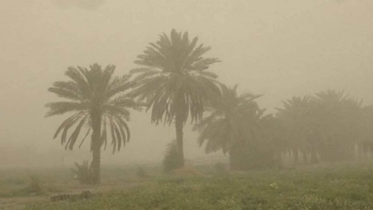آسمان بوشهر غبارآلود می‌شود