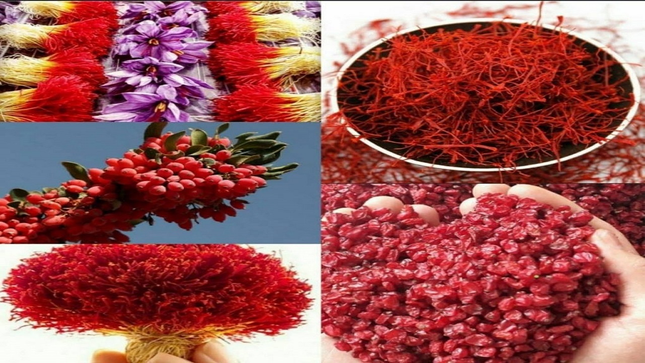 برای تزئین غذا چقدر هزینه کنیم؟