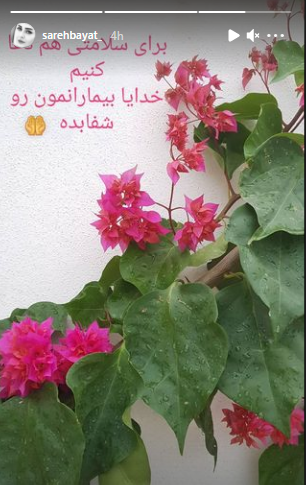 ساره بیات