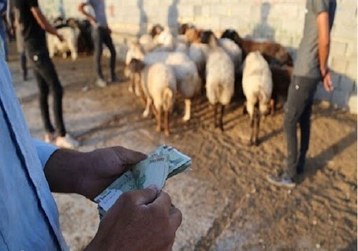 بازار خرید و فروش دام سبک