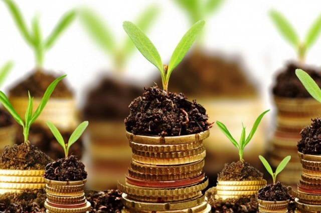 کارآفرینی در کشاورزی