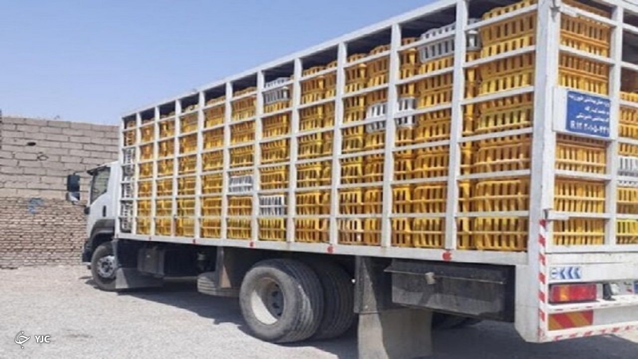 حمل مرغ در استان مرکزی فقط با بارکد پستی