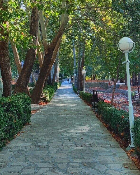 خودنمایی پاییز در روزهای آخر شهریور+تصاویر