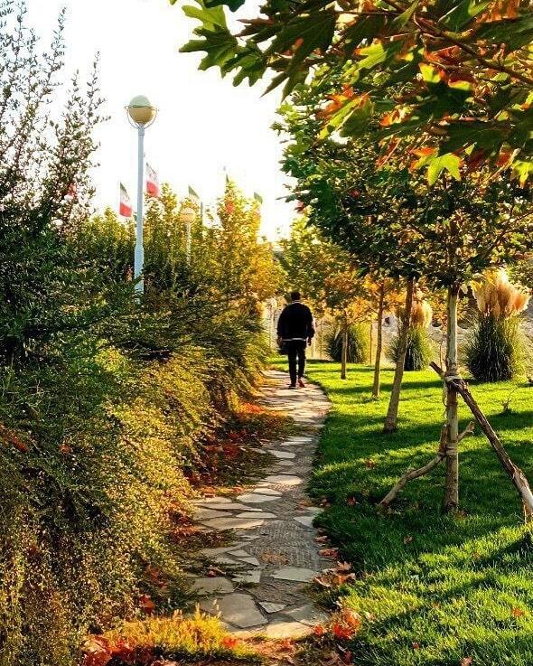 خودنمایی پاییز در روزهای آخر شهریور+تصاویر