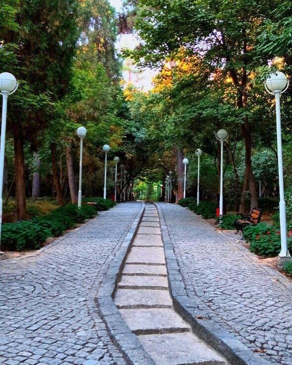 خودنمایی پاییز در روزهای آخر شهریور+تصاویر