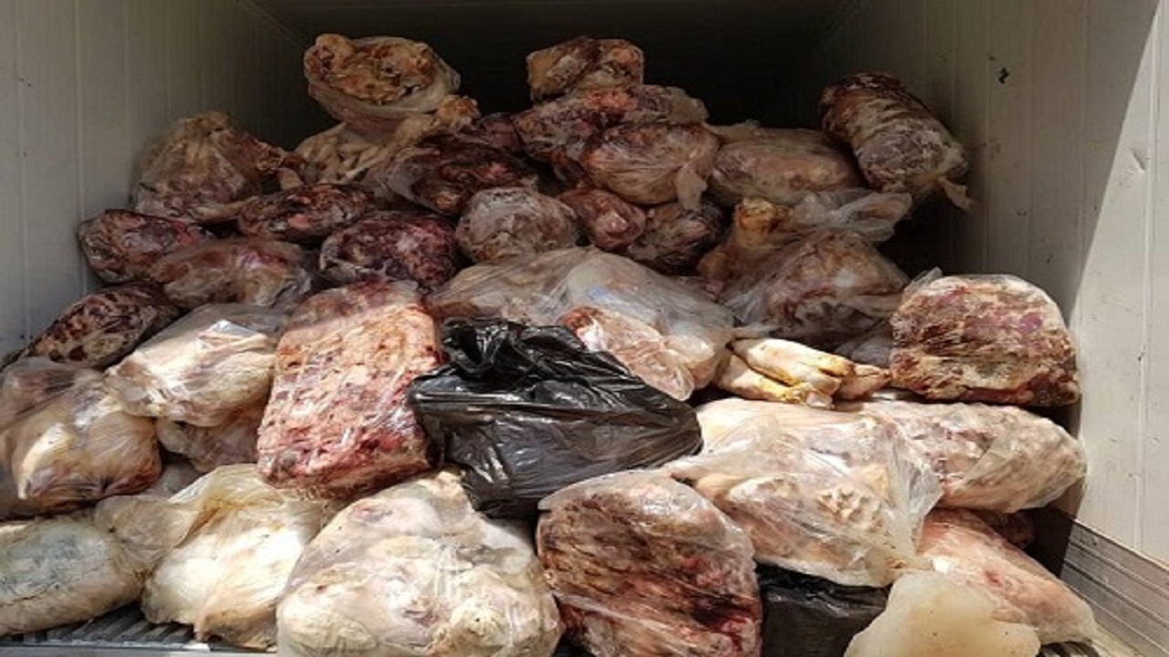 شناسایی سردخانه غیر مجاز در فردوس