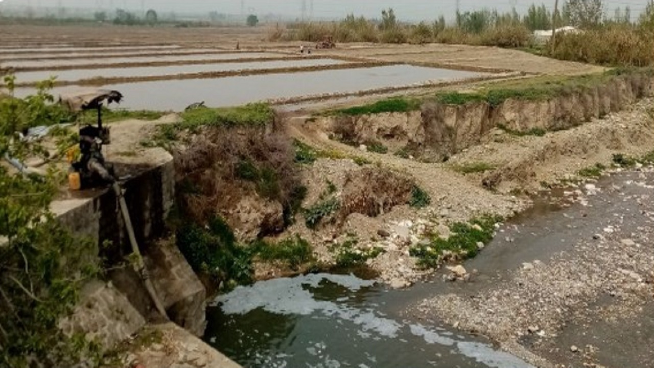 کشف ۱۴۶ مورد آبیاری مزارع گلستان با فاضلاب خام
