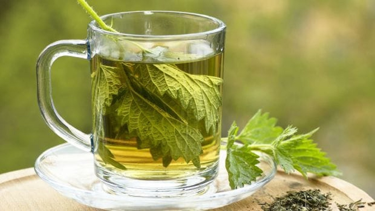 معجزه سم زدایی بدن با یک نوشیدنی گیاهی/ فواید برگ گزنه که شما را حیرت زده می‌کند
