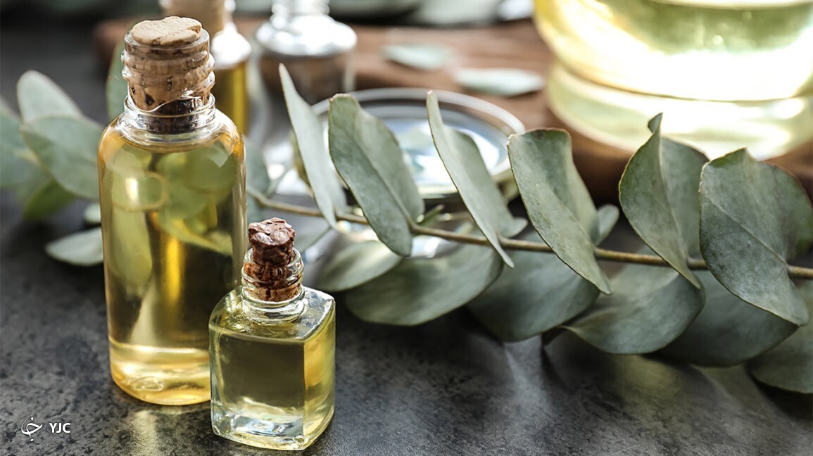 روغن اکالیپتوس