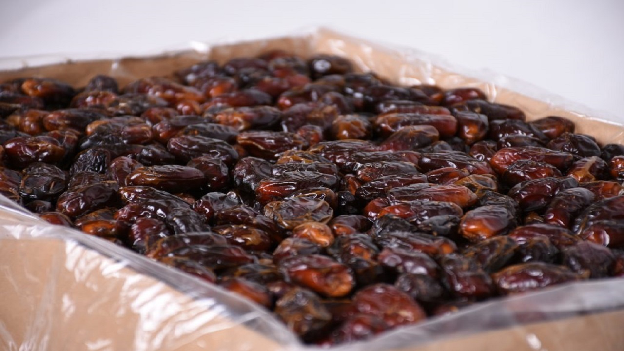 مراکز خرید خرما در شادگان آماده خرید تضمینی محصولات نخلداران