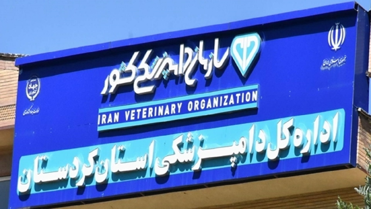 ۱۱هزار دارو‌ی دام و طیور فاقد ماده موثره در کردستان کشف و ضبط شد