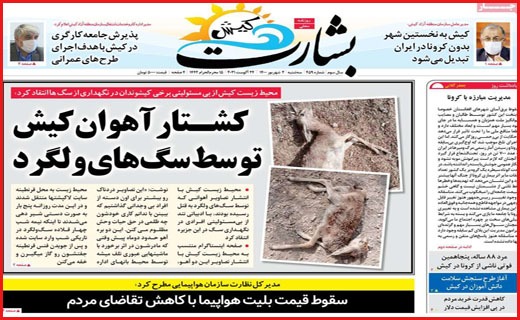 مرگ پشت مرگ / کرونای واکسن گریز در راه است/ عطش فروش مسکن فروکش کرد