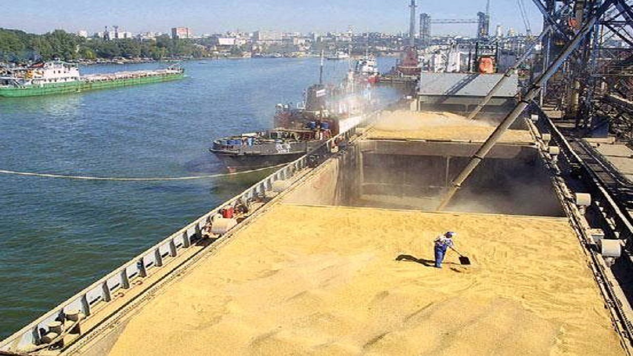 واردات بیش از یک میلیون تن غلات از بندر امام خمینی (ره)