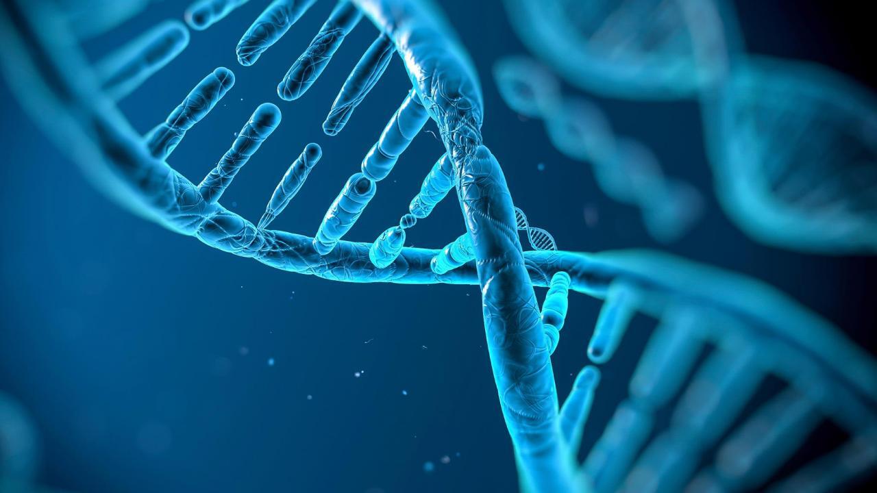 ادعای جدید دانشمندان؛ سهم کوچکی از DNA موجود در ما منحصر به انسان است