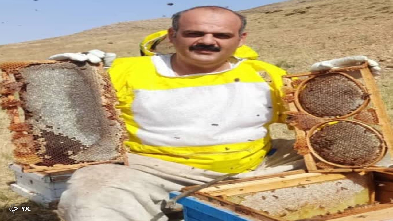 برداشت عسل از زنبورستان‌های مهاباد آغاز شد