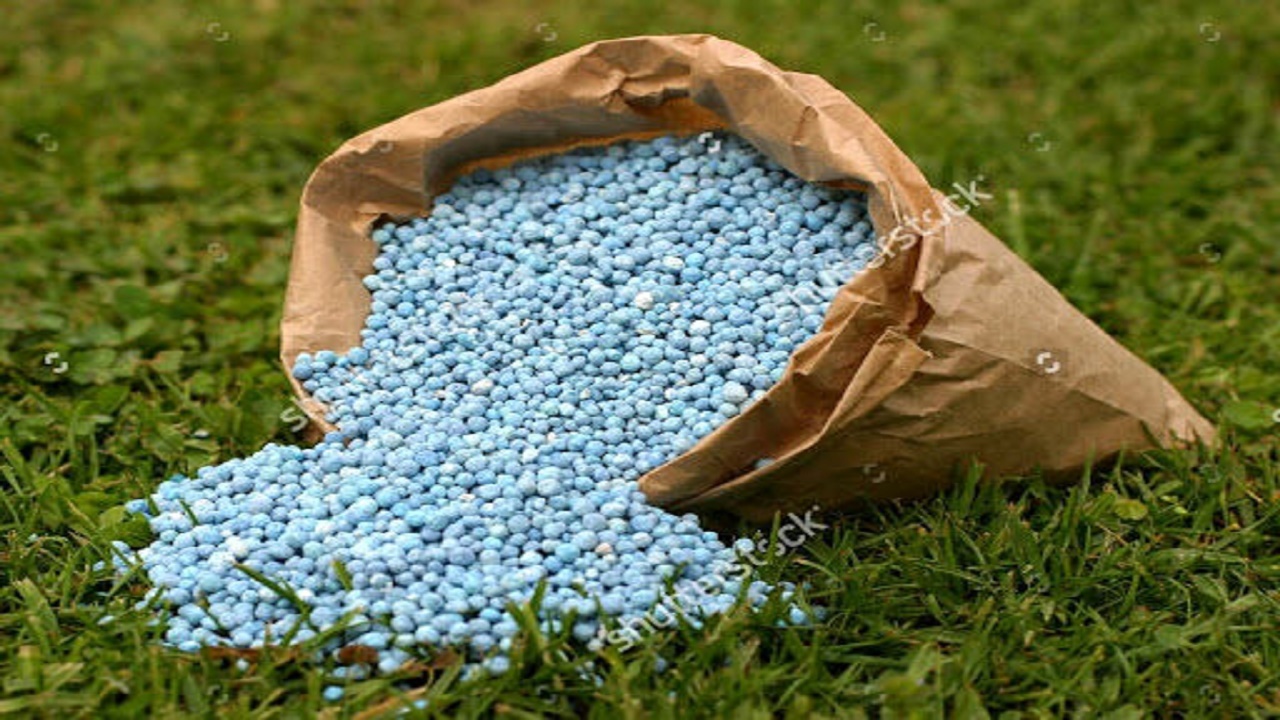 تامین ۴۵۰ هزار تن کود یارانه ای برای کشت پاییزه